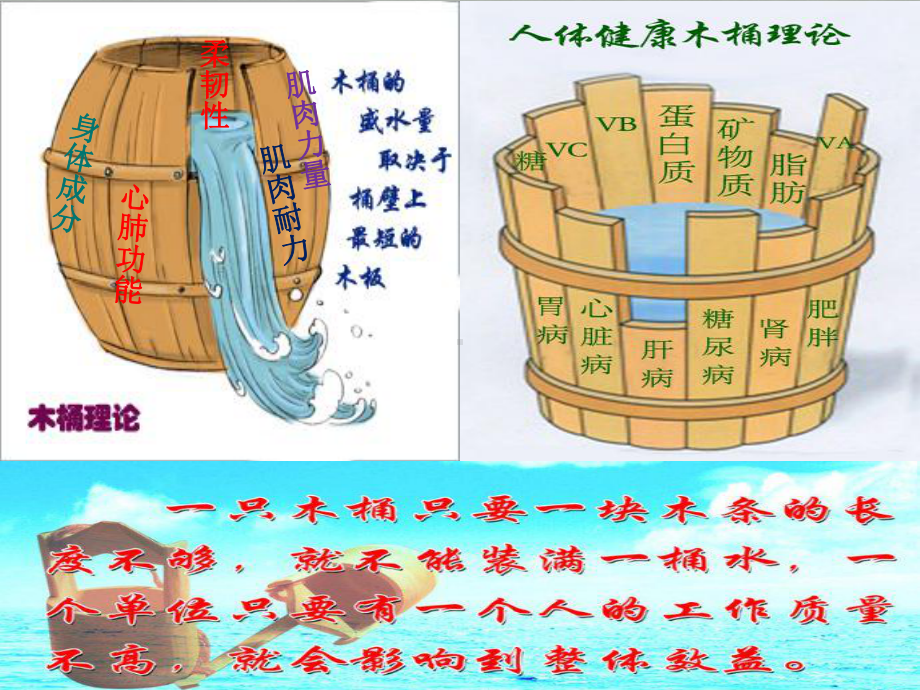 健康体能的“木桶原理”课件.ppt_第2页