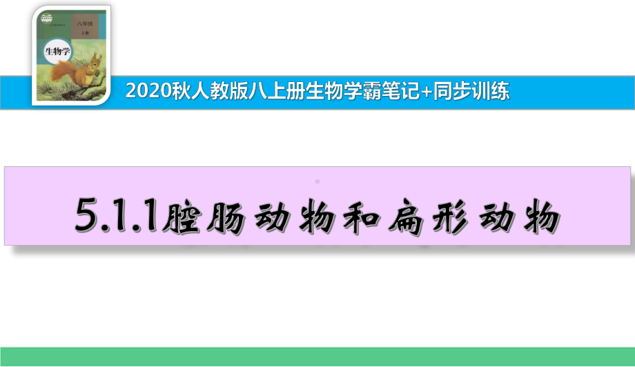 八上生物学霸笔记+同步训练511腔肠动物和扁形动物课件.ppt_第1页