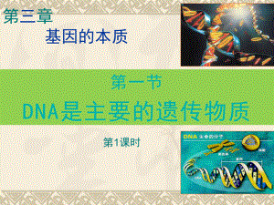 31DNA是主要的遗传物质第1课时-人教版高中生物必修2课件.pptx