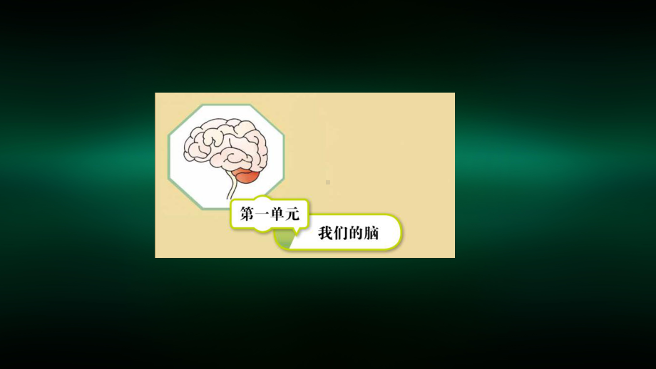 五年级（科学(湘科版)）人体对刺激的反应-课件.pptx_第2页