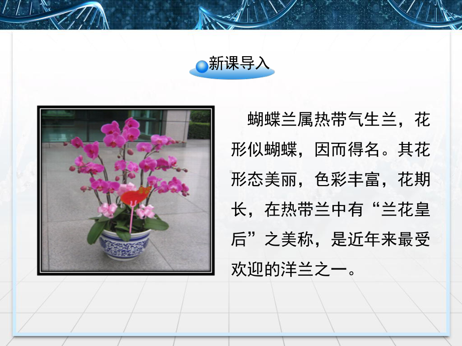 人教版高中生物选修三21《植物细胞工程的基本技术》课件.ppt_第2页