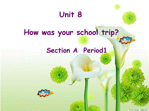 初中英语教学课件(Unit-8-how-was-your-school-trip).ppt