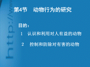 动物行为的研究-北师大版课件.ppt