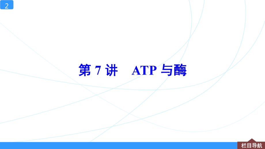 一轮复习课件第7讲-ATP与酶.ppt_第2页