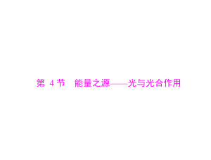 2020年高考生物一轮复习课件：必修1-第5章-第4节-能量之源-光与光合作用.ppt