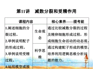 2020版新高考生物(鲁京津琼)复习课件：第四单元-细胞的生命历程-第11讲.ppt