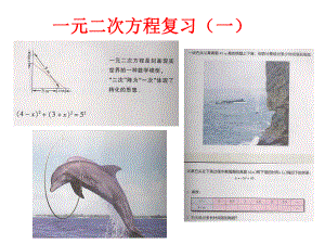 一元二次方程复习(一)课件.ppt