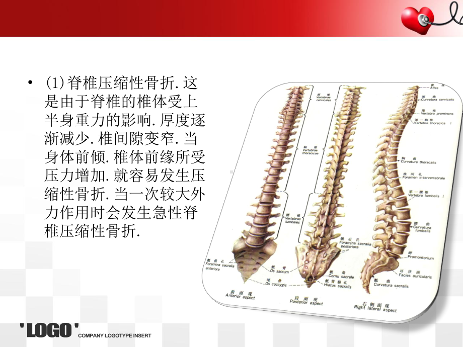 公休座谈会-骨科护理课件.ppt_第3页