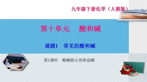 人教版九年级化学下册第十单元酸和碱习题课件.ppt