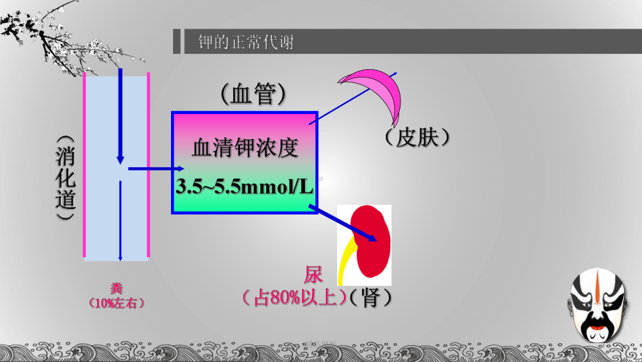 低钾和高钾血症的护理详细版课件.ppt_第3页