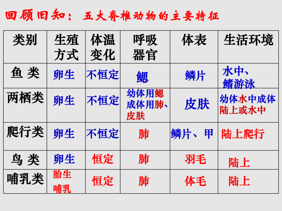 初中科学浙教版七年级上册第4节-常见的动物课件.ppt_第2页