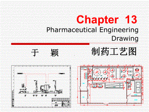 制药工程制图第13章-制药工艺图课件.ppt