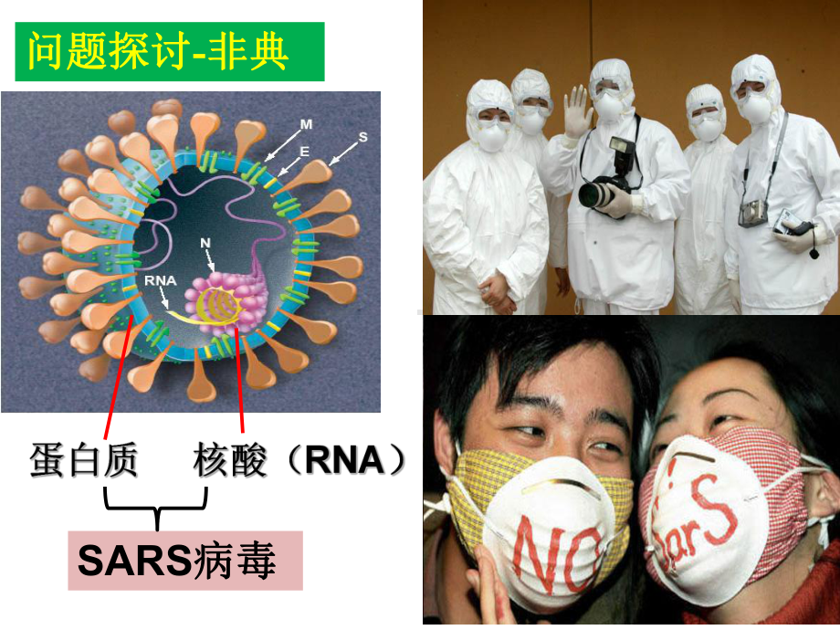 人教版高中生物必修一课件：11从生物圈到细胞-.pptx_第2页