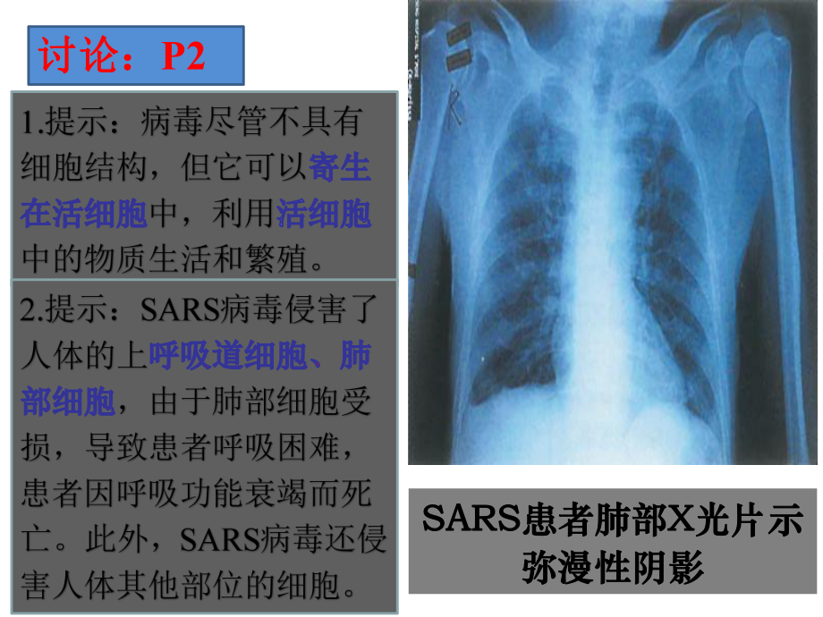 人教版高中生物必修一课件：11从生物圈到细胞-.pptx_第3页