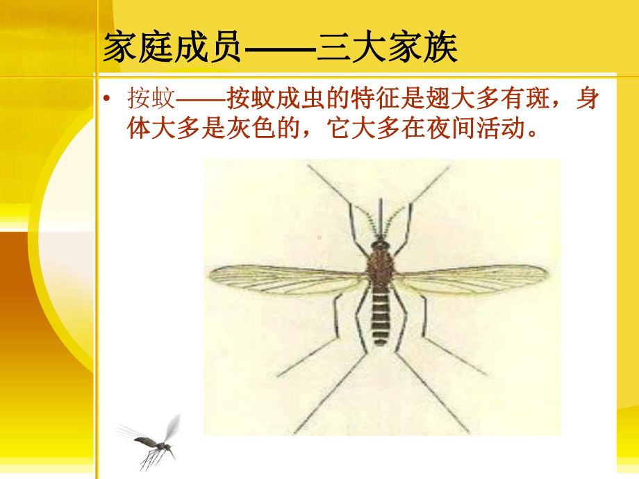 《第五课-认识传染病课件》小学公共卫生教育辽海版《学校公共卫生教育四年级上》5324.ppt_第3页