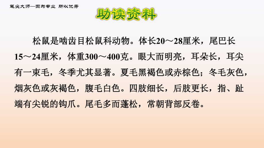 人教版五年级上册《松鼠》第一课时课件.pptx_第2页