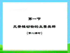 七年级上册生物《无脊椎动物的主要类群》第二课时课件.ppt