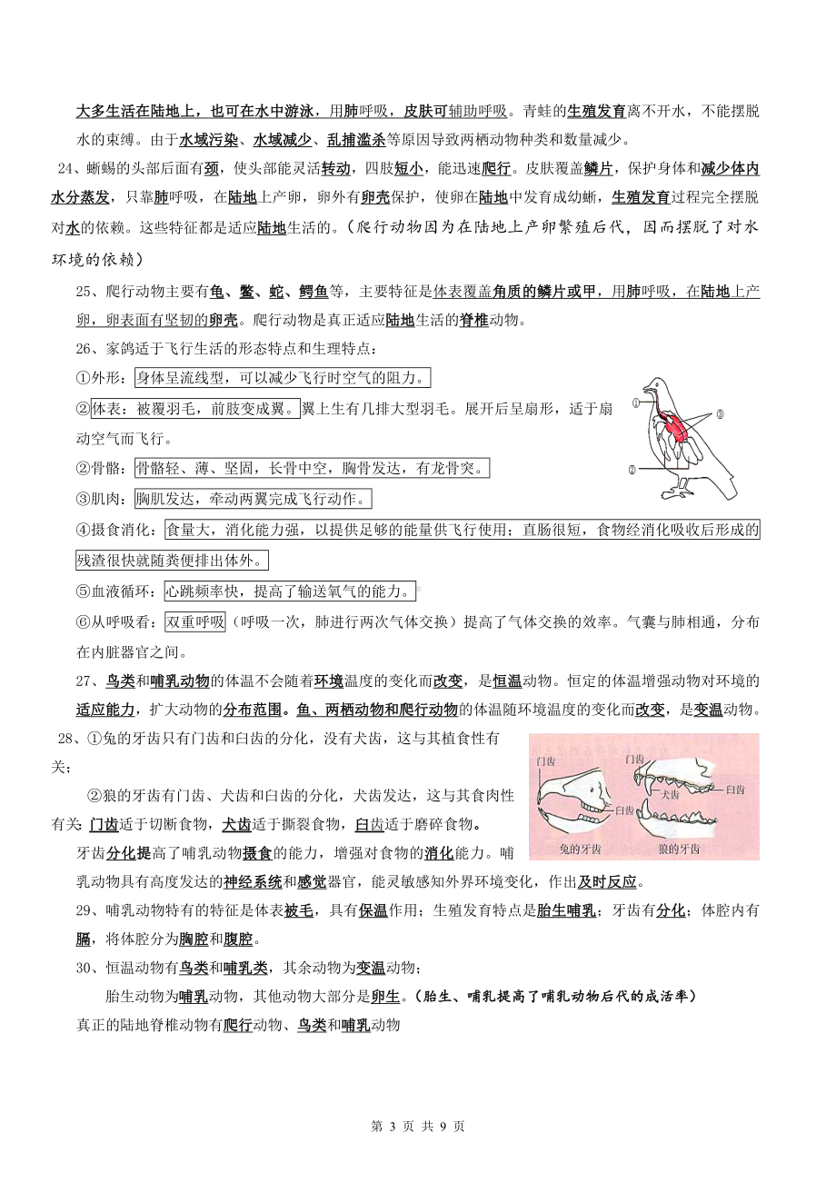 人教版八年级上册生物期末复习必背知识点考点提纲（实用必备！）.docx_第3页