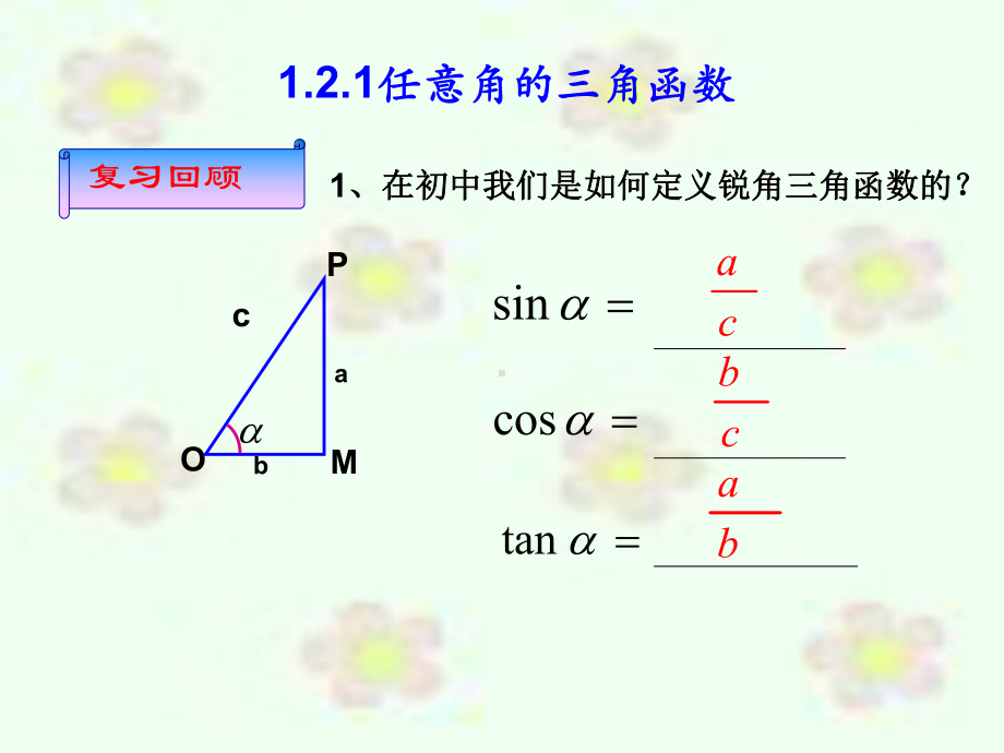 任意角的三角函数课件一.ppt_第2页