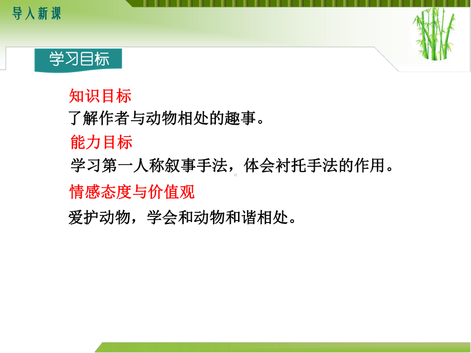 动物笑谈课件.ppt_第3页