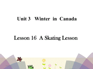 六年级上册英语课件Lesson16-A-skating-lesson-冀教版-.ppt