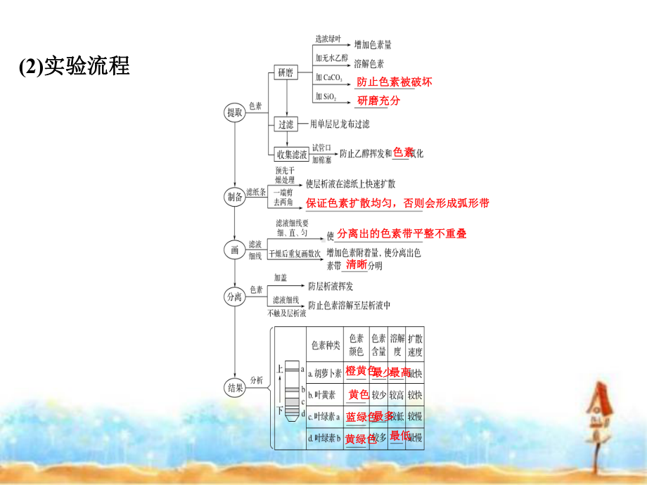 2020版新高考生物(鲁京津琼)复习课件：第三单元-细胞的能量供应与利用-第9讲.ppt_第3页