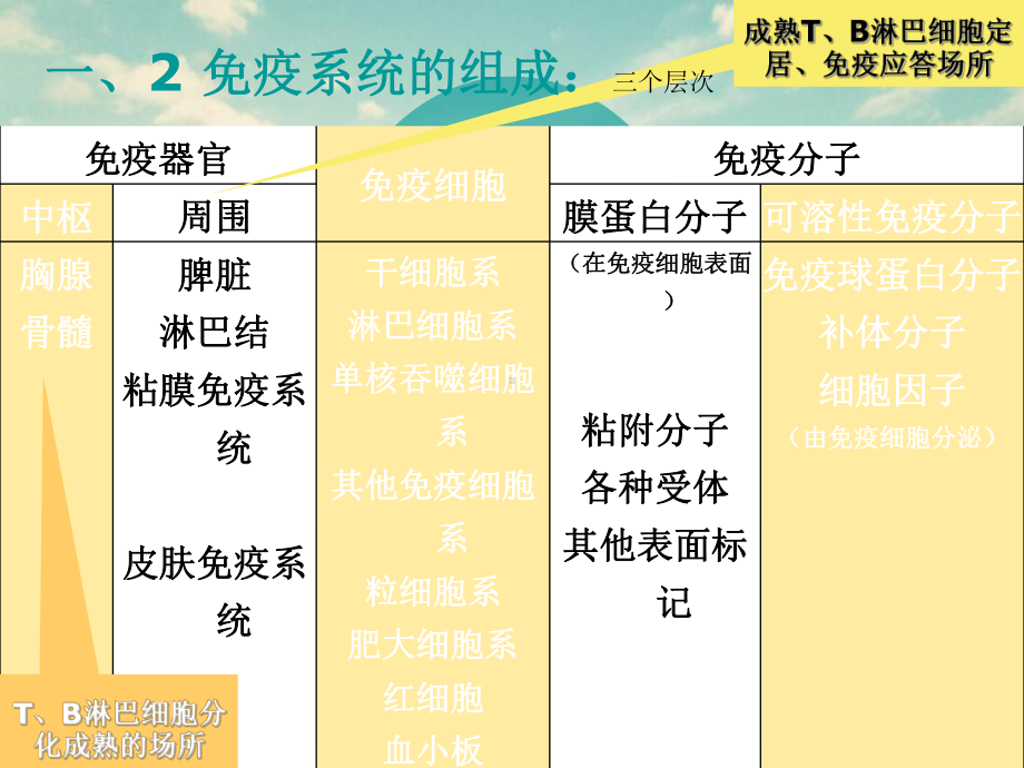 免疫性疾病1课件.ppt_第3页