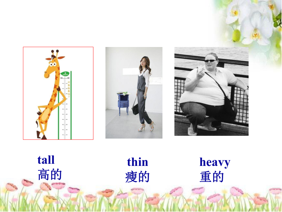 人教版七年级英语下册教学课件-第九单元-Unit-9-What-does-he-look-like第一课时.pptx_第3页