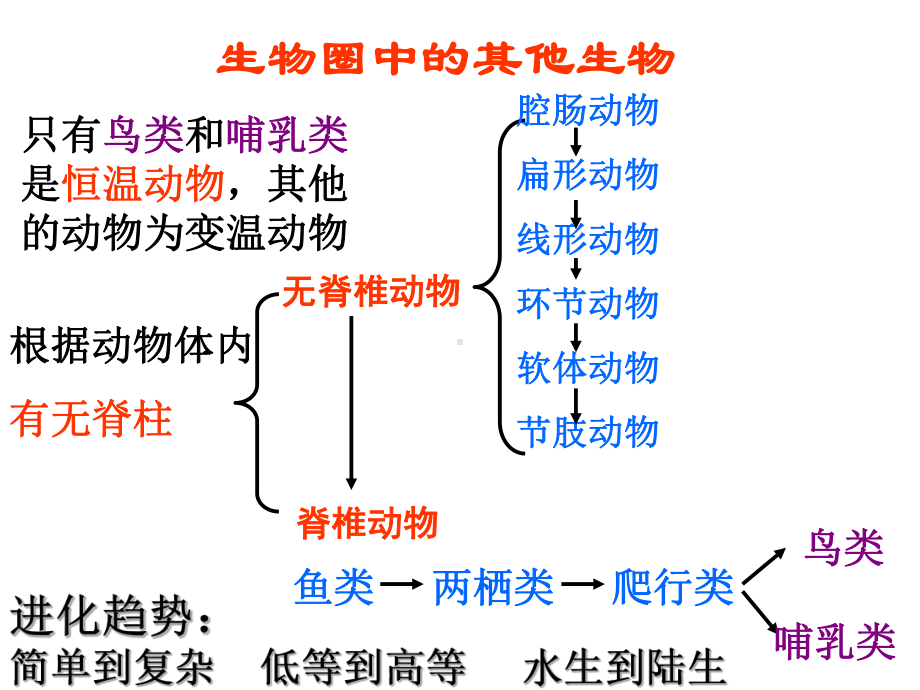 初中生物-八年级上册-总复习课件.ppt_第1页