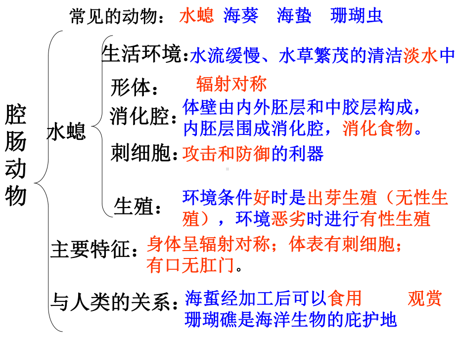 初中生物-八年级上册-总复习课件.ppt_第3页