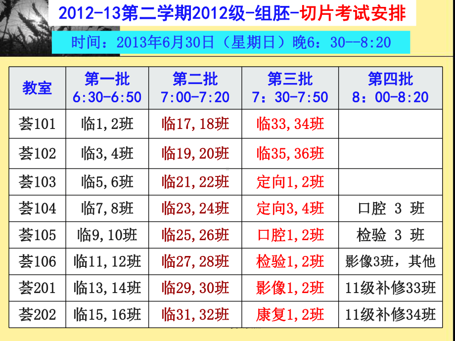 -春-12级-大本科-组胚-理论复习要点资料课件.ppt_第1页