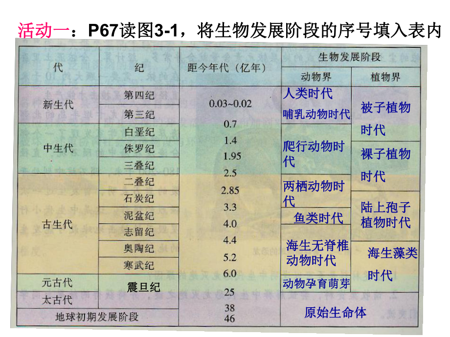 31生物进化与环境变迁课件1.ppt_第3页