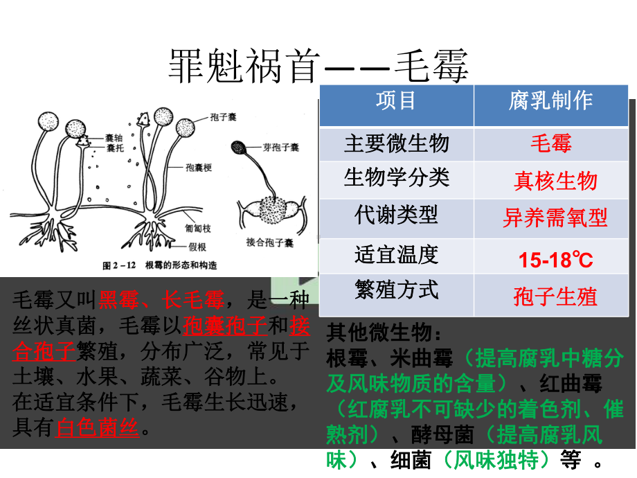 （课件）人教版选修一12腐乳的制作CJX-310.pptx_第3页