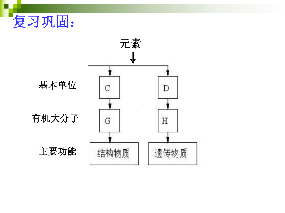 （公开课课件）高中必修一生物：《细胞中的糖类和脂质》.ppt_第1页