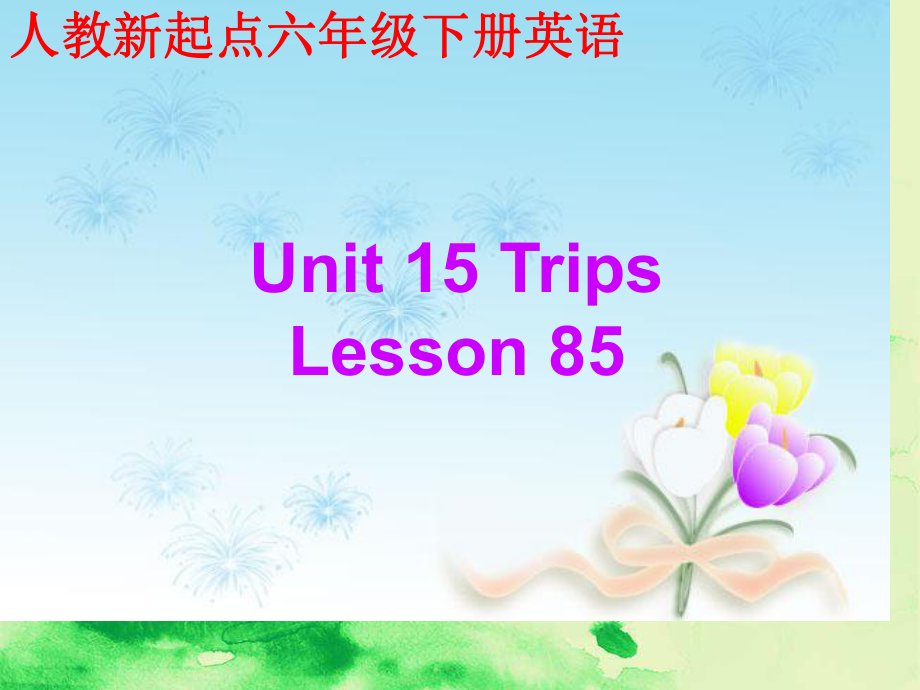 (人教新起点)六年级英语下册课件-Unit-15-Lesson-85.ppt_第1页