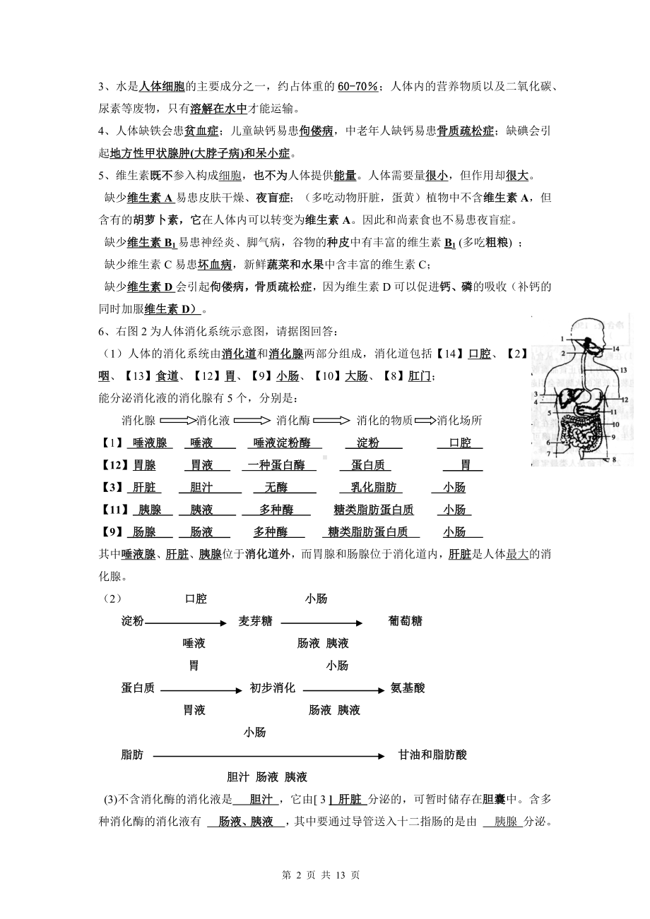 人教版七年级下册生物期末中考复习知识点考点提纲（实用！）.docx_第2页