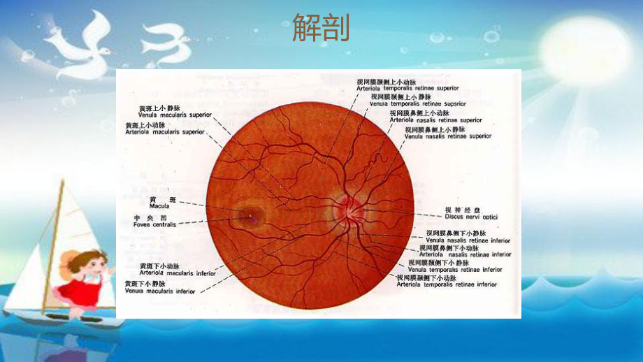 《眼底病图谱》教学课件.pptx_第2页