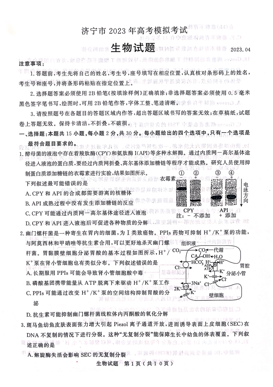 山东省济宁市2023届高三下学期二模生物试卷+答案.pdf_第1页