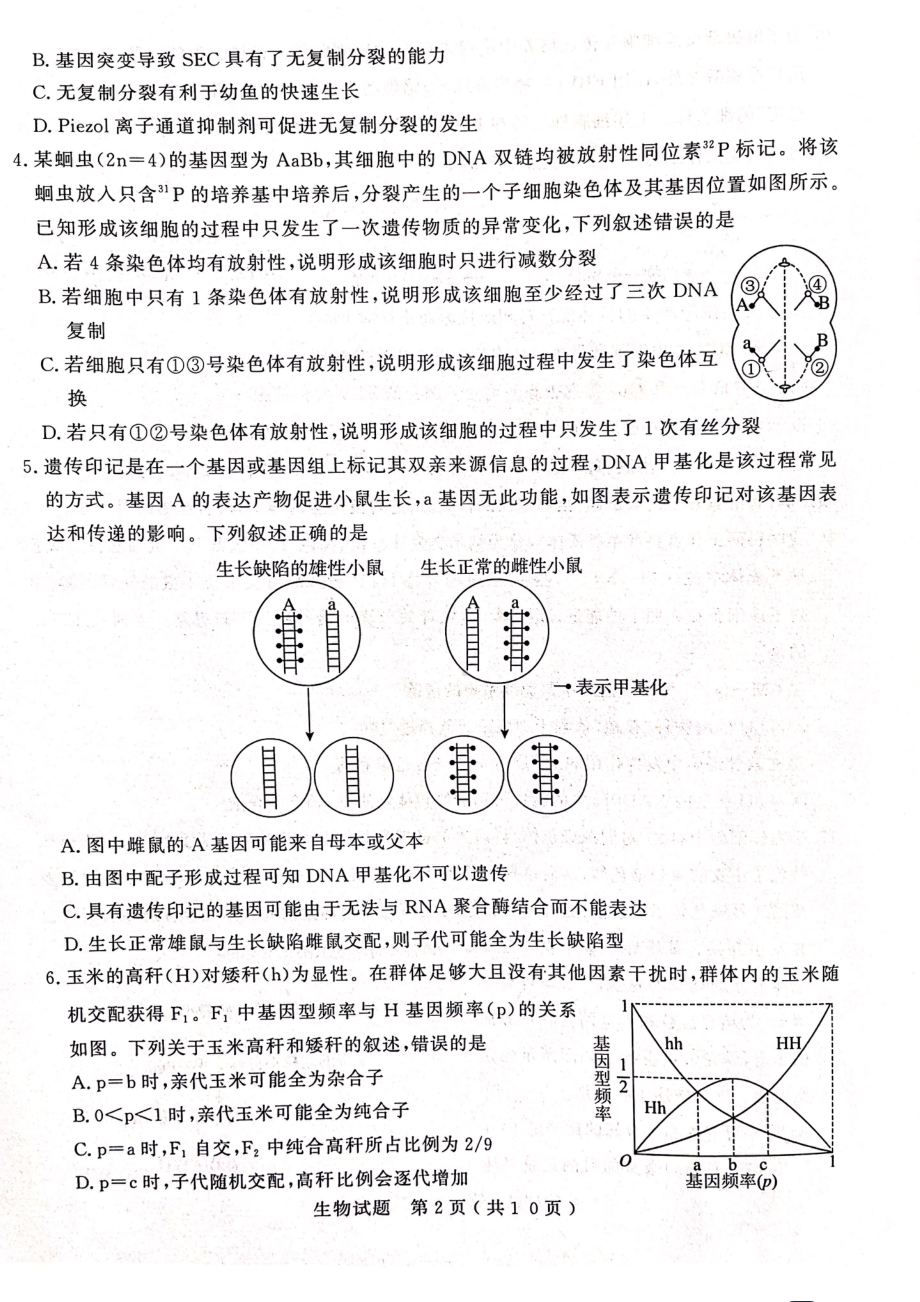 山东省济宁市2023届高三下学期二模生物试卷+答案.pdf_第2页