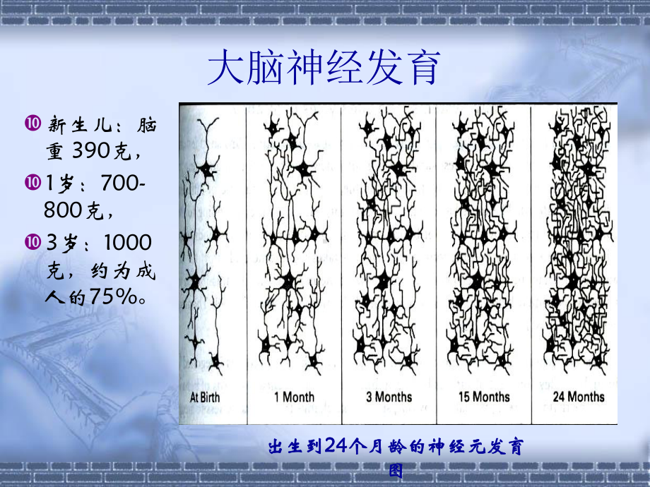 儿童早期发展讲课汇总课件.ppt_第2页