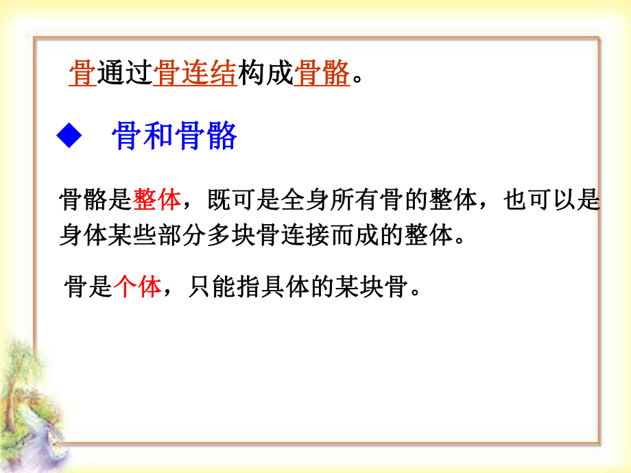 人体的运动课件.ppt_第3页