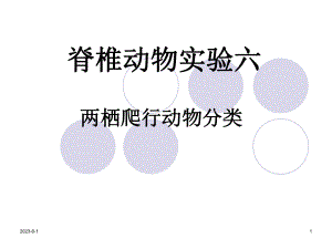 两栖爬行动物分类课件.ppt