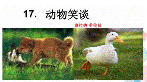 动物笑谈部编版课件.ppt