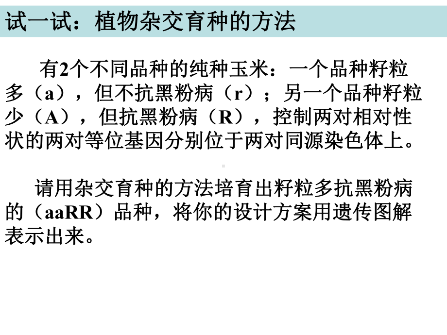 -杂交育种与诱变育种-完整课件.ppt_第3页