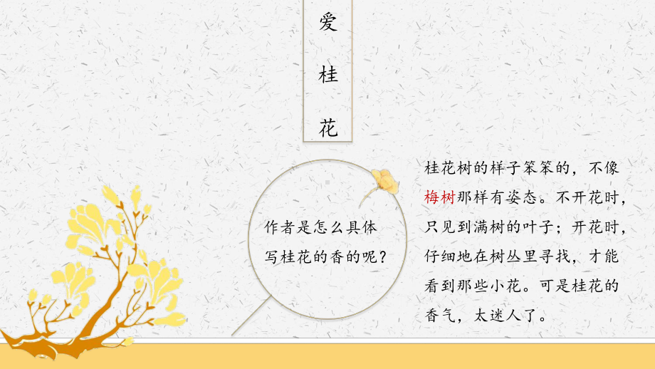 《桂花雨》小学语文统编版公开课一等奖优秀课件.pptx_第3页