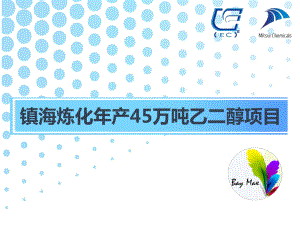 全国大学生化工设计竞赛金奖作品-答辩-总决赛课件.pptx