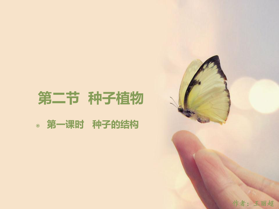 优质课-人教版七年级生物上册312《种子植物》第一课时课件.ppt_第1页