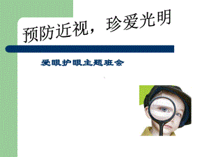 保护眼睛主题班会10课件.ppt