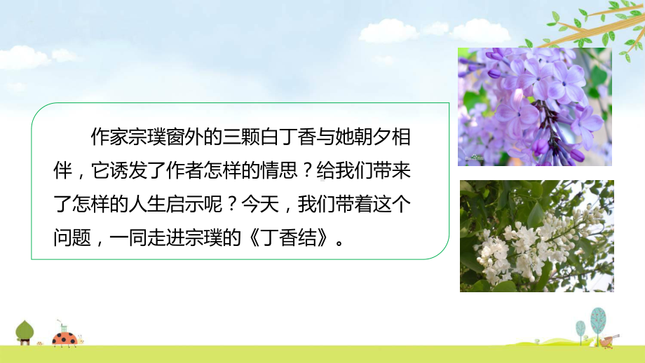 丁香结名师公开课课件人教部编版语文六年级上册.ppt_第2页