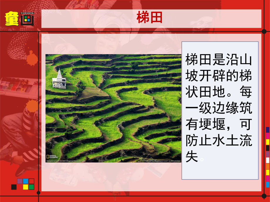 儿童美术课件梯田.ppt_第1页